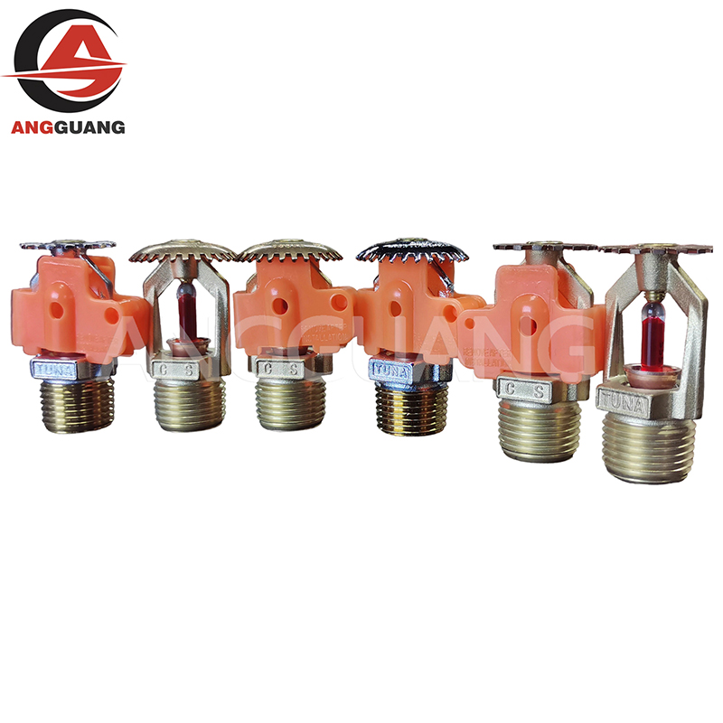 Fire Sprinkler System