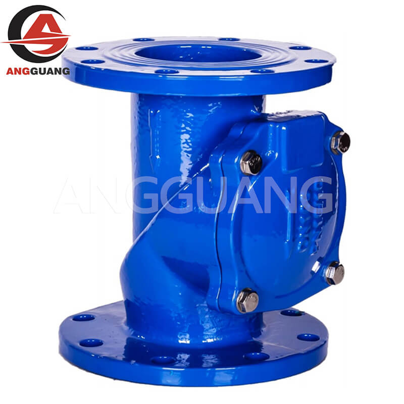 Check Valve