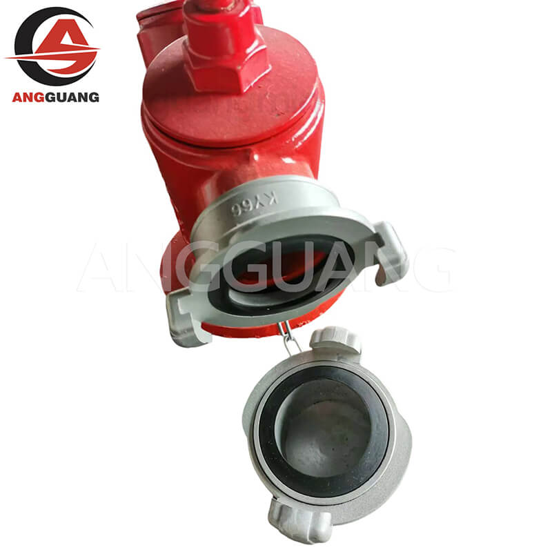 Dual outlet indoor fire hydrant