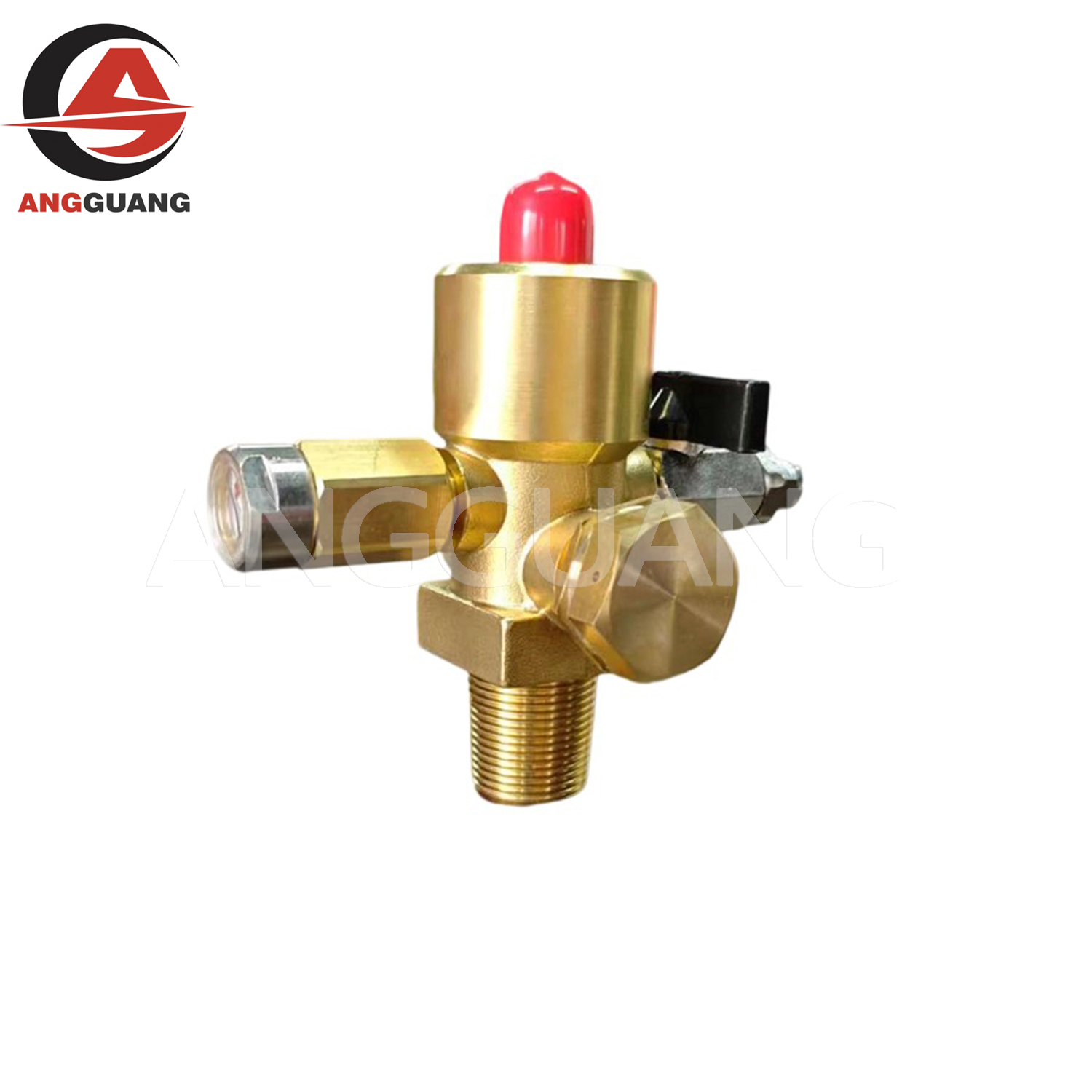 High Pressure CO2 Fire Extinguisher Valve for Automatic Systems