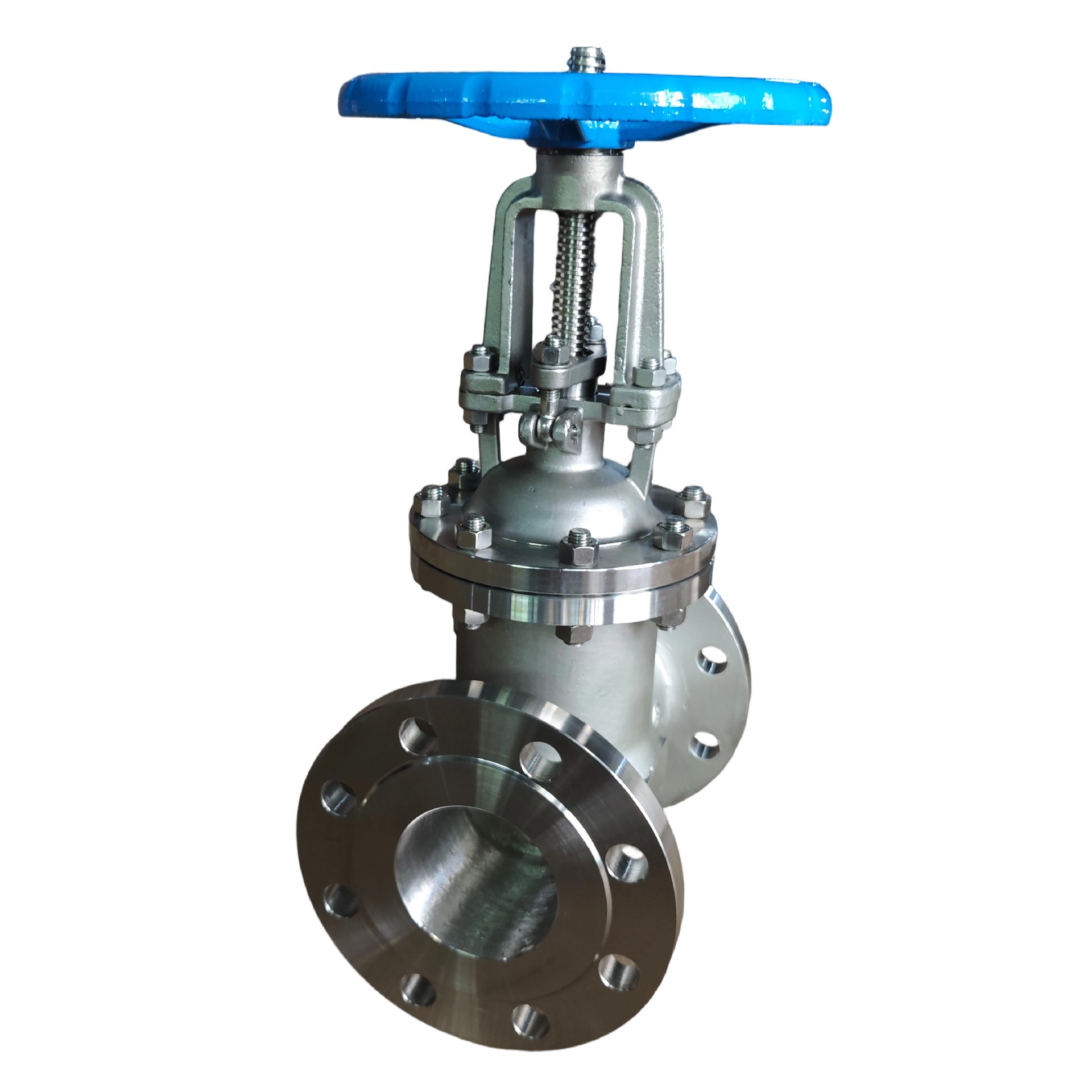 DN100 PN25 CF3M Stainless Steel Gate Valve | 316L Flanged Industrial Valve