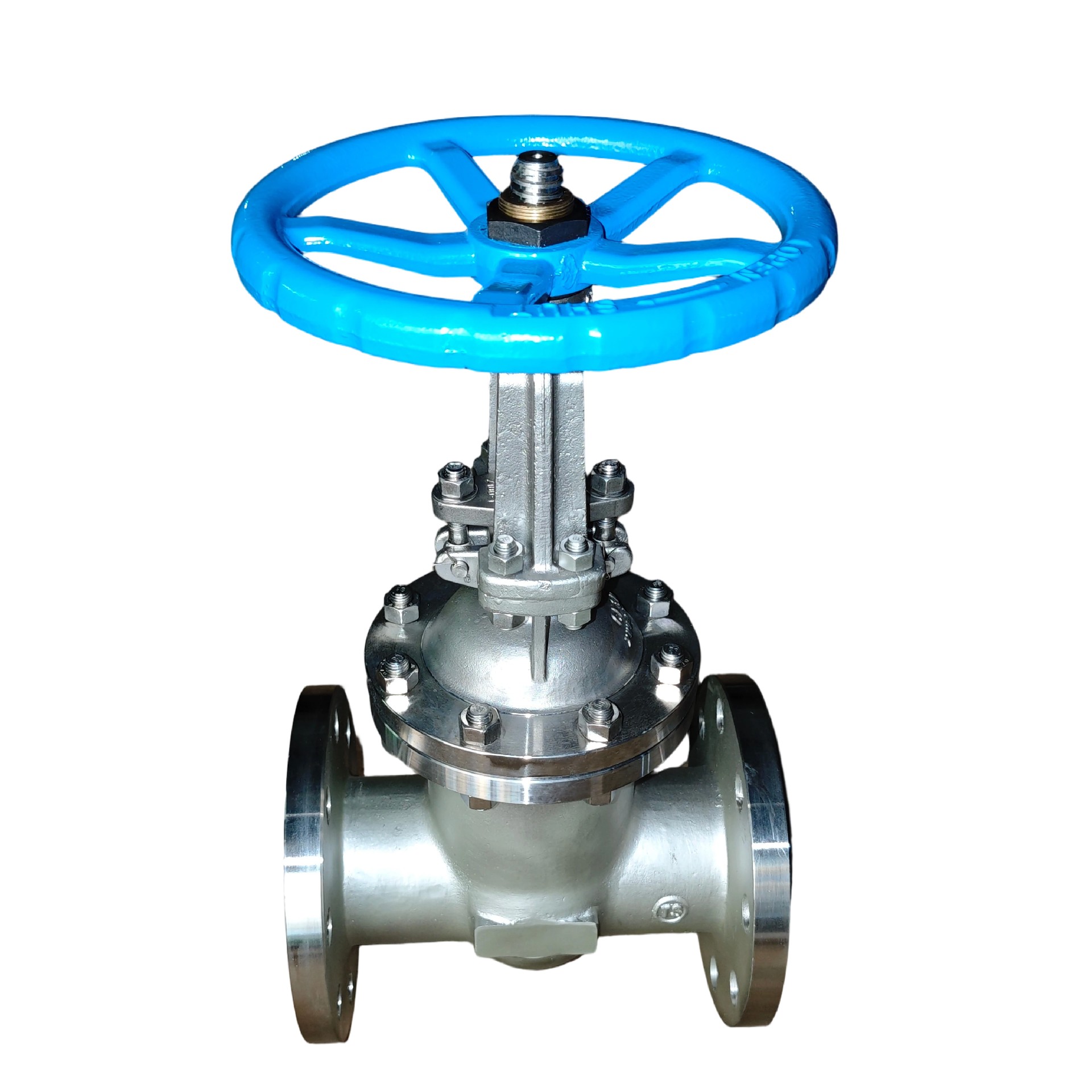 DN100 PN25 CF3M Stainless Steel Gate Valve | 316L Flanged Industrial Valve