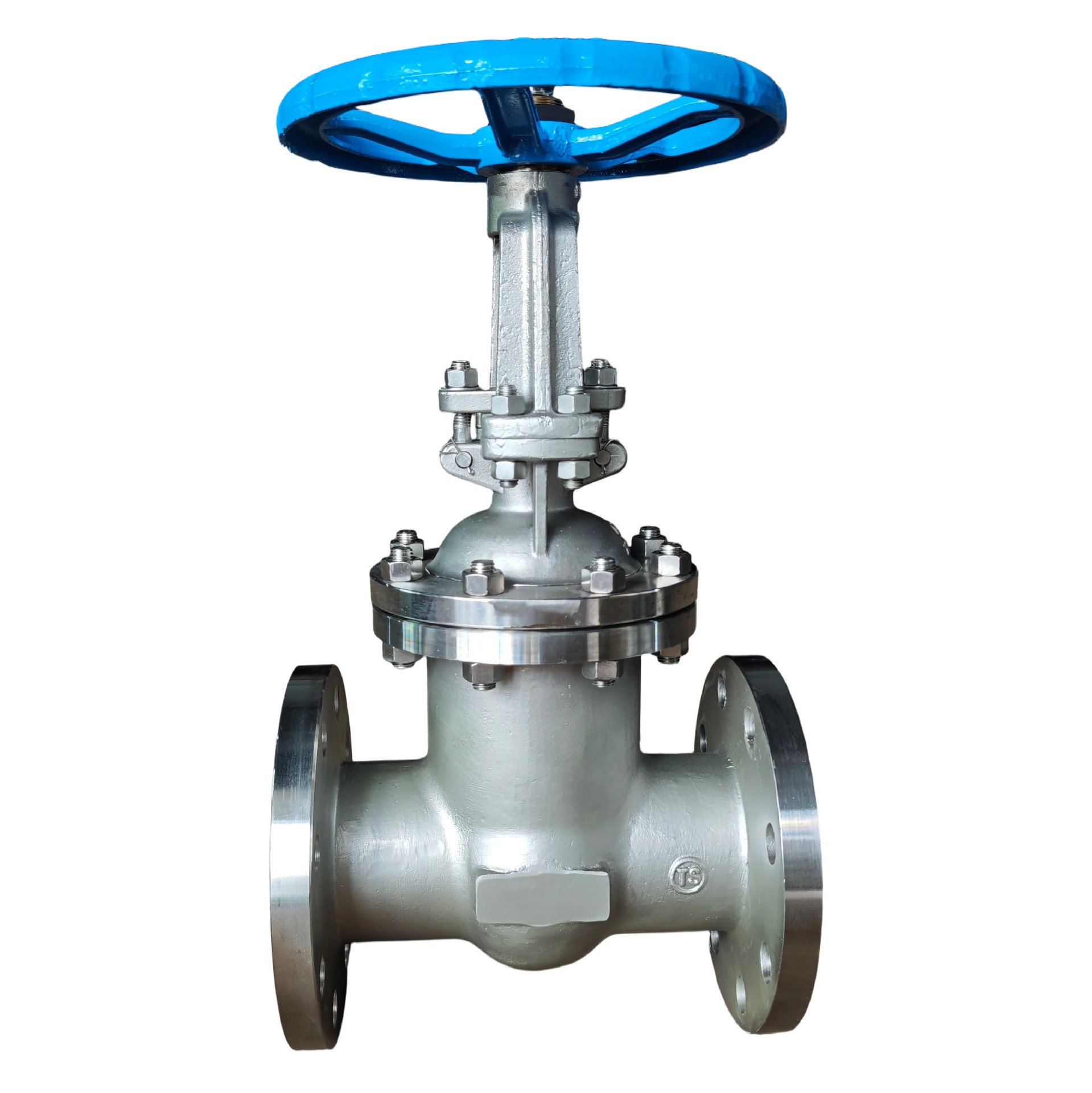 DN100 PN25 CF3M Stainless Steel Gate Valve | 316L Flanged Industrial Valve