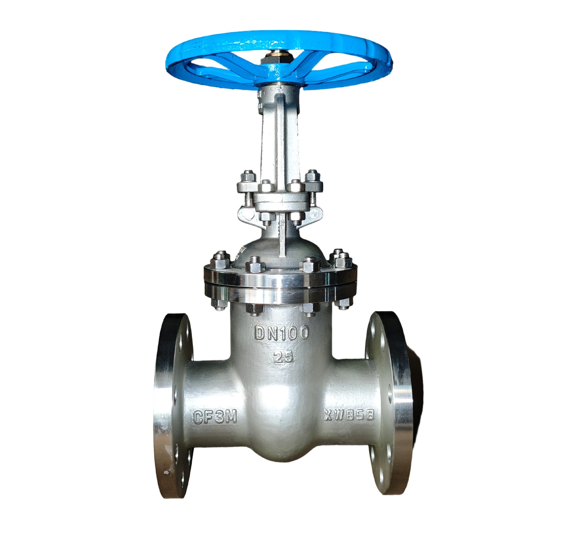 DN100 PN25 CF3M Stainless Steel Gate Valve | 316L Flanged Industrial Valve	